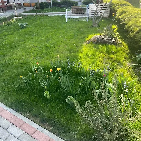 Affittacamere Janko Vrnjačka Banja